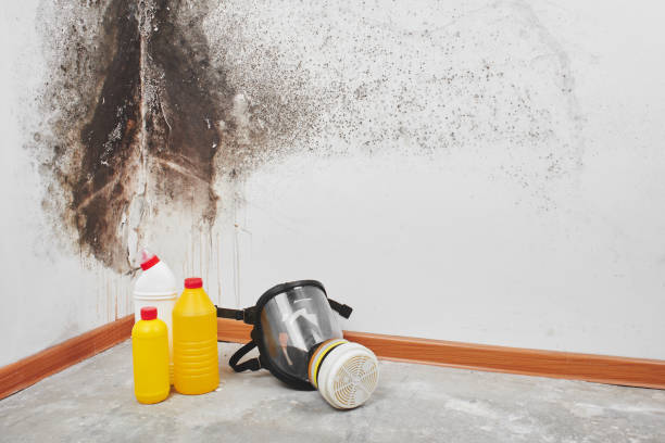 Best Crawl Space Mold Removal  in Vass, NC