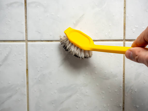 Certified Mold Removal in Vass, NC