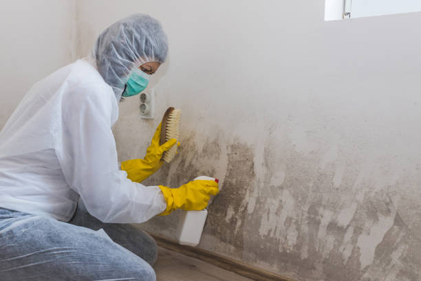 Best Residential Mold Removal  in Vass, NC