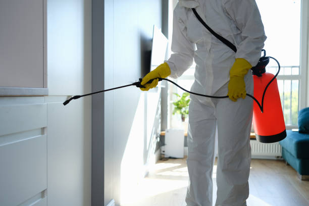 Best Mold Testing  in Vass, NC