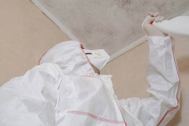 Best Toxic Mold Removal  in Vass, NC
