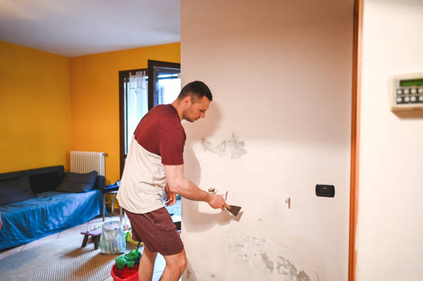Best Fast Mold Removal  in Vass, NC