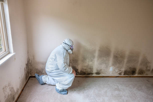 Best Mold Testing  in Vass, NC